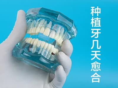 1634009606507821.jpg 3-80.jpg