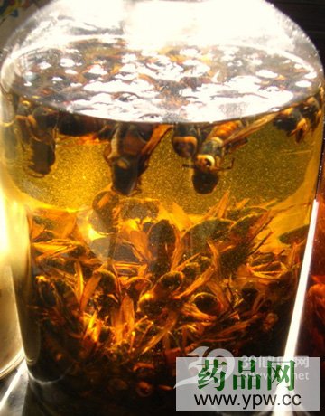 �U������ˎ�ƺȳ�����